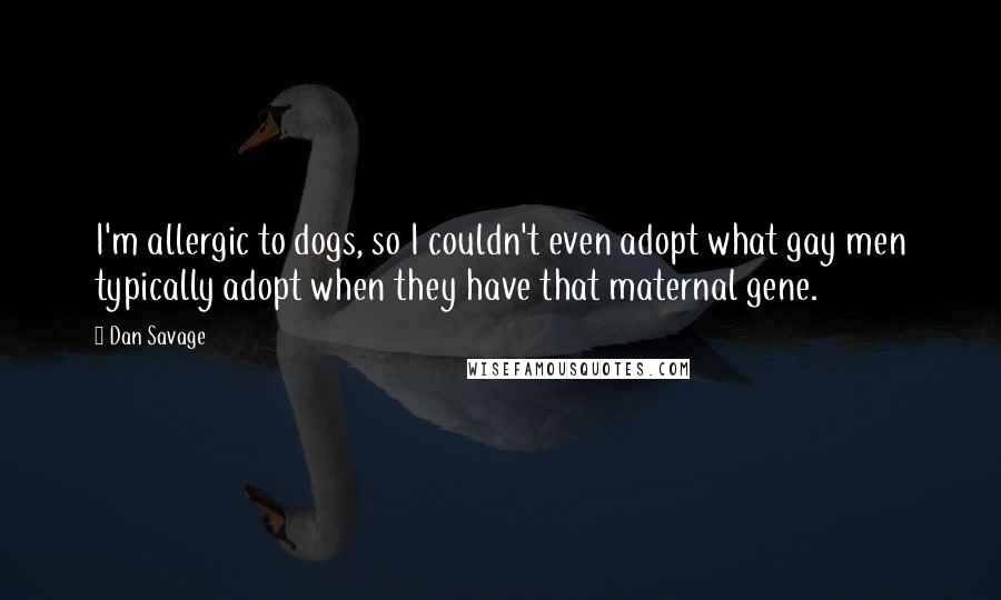Dan Savage Quotes: I'm allergic to dogs, so I couldn't even adopt what gay men typically adopt when they have that maternal gene.