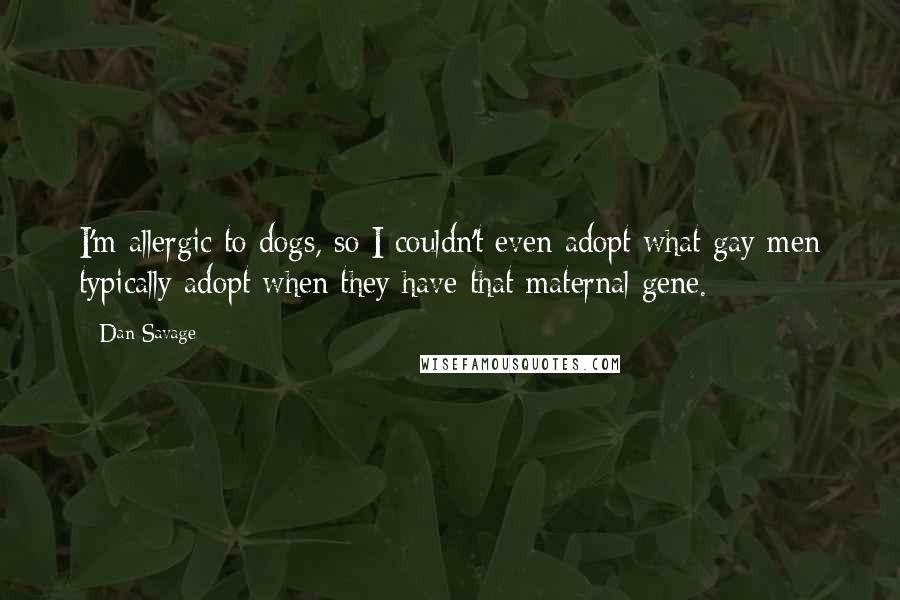 Dan Savage Quotes: I'm allergic to dogs, so I couldn't even adopt what gay men typically adopt when they have that maternal gene.
