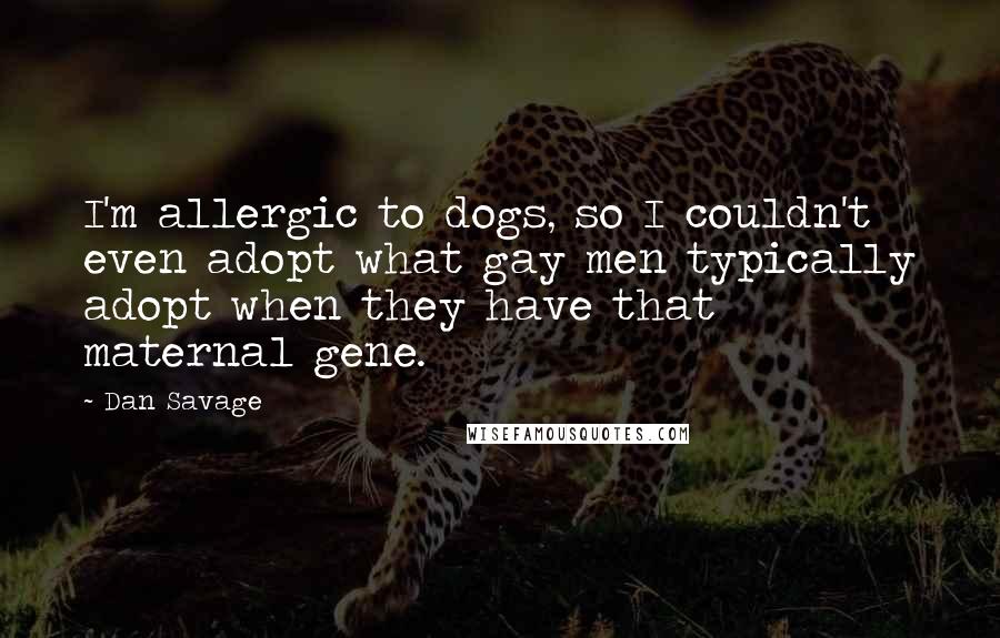 Dan Savage Quotes: I'm allergic to dogs, so I couldn't even adopt what gay men typically adopt when they have that maternal gene.