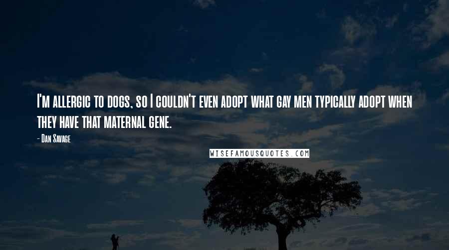 Dan Savage Quotes: I'm allergic to dogs, so I couldn't even adopt what gay men typically adopt when they have that maternal gene.