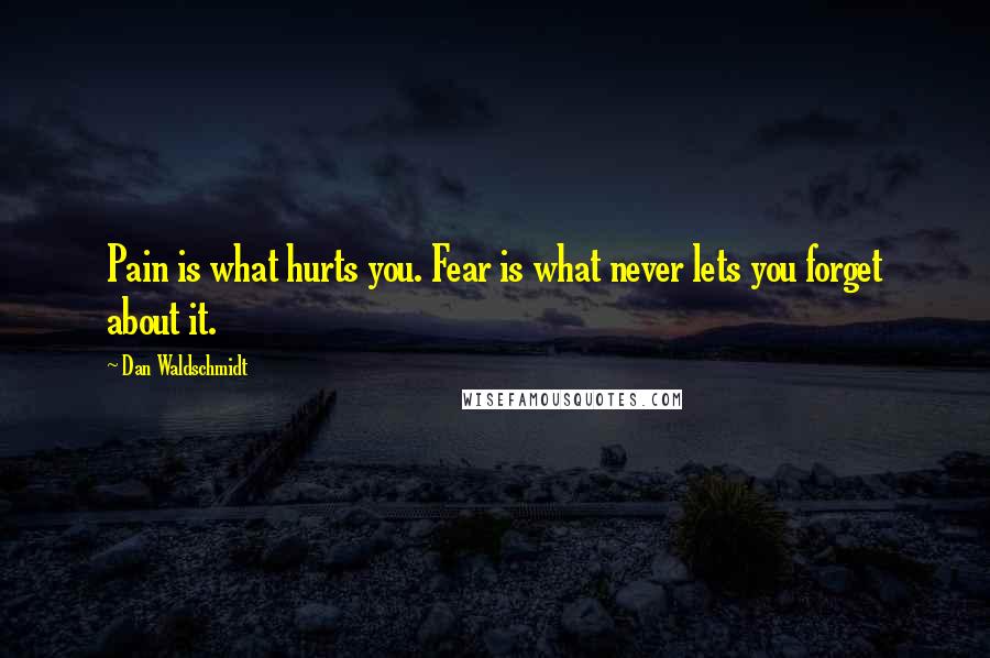 Dan Waldschmidt Quotes: Pain is what hurts you. Fear is what never lets you forget about it.