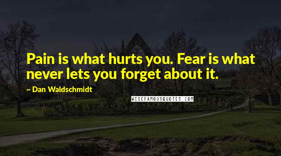 Dan Waldschmidt Quotes: Pain is what hurts you. Fear is what never lets you forget about it.