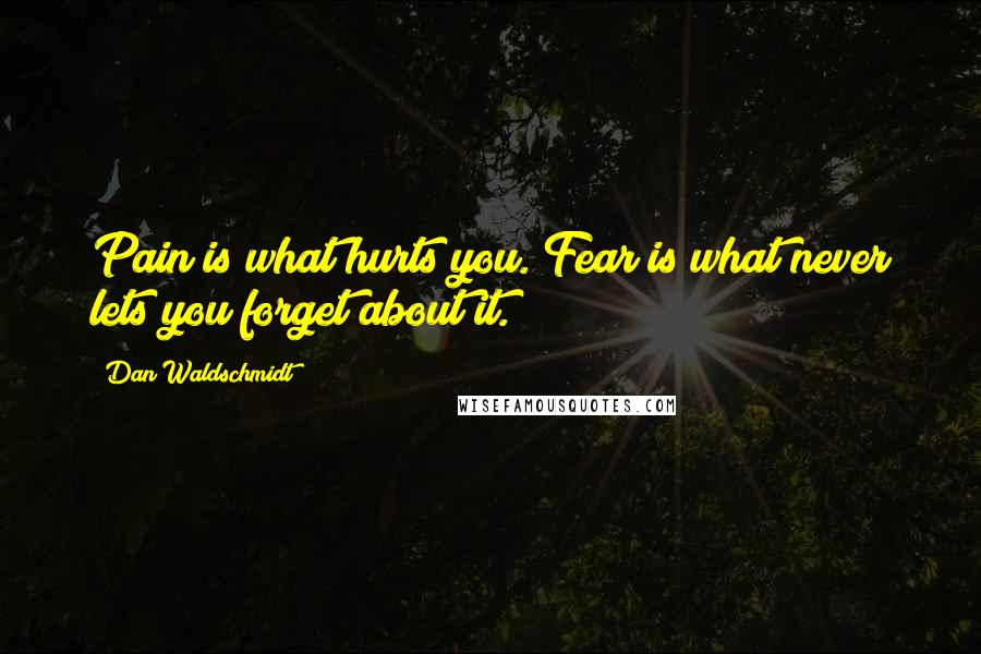 Dan Waldschmidt Quotes: Pain is what hurts you. Fear is what never lets you forget about it.