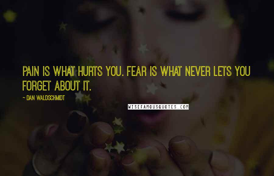 Dan Waldschmidt Quotes: Pain is what hurts you. Fear is what never lets you forget about it.