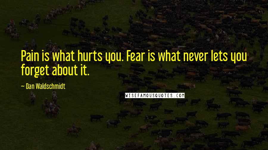 Dan Waldschmidt Quotes: Pain is what hurts you. Fear is what never lets you forget about it.