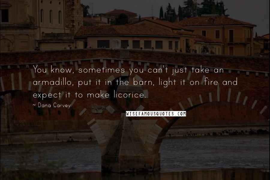 Dana Carvey Quotes: You know, sometimes you can't just take an armadillo, put it in the barn, light it on fire and expect it to make licorice.