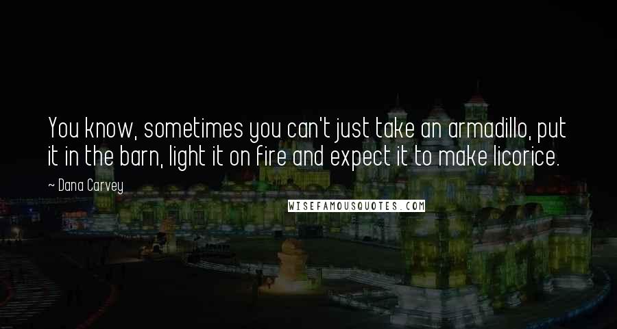 Dana Carvey Quotes: You know, sometimes you can't just take an armadillo, put it in the barn, light it on fire and expect it to make licorice.