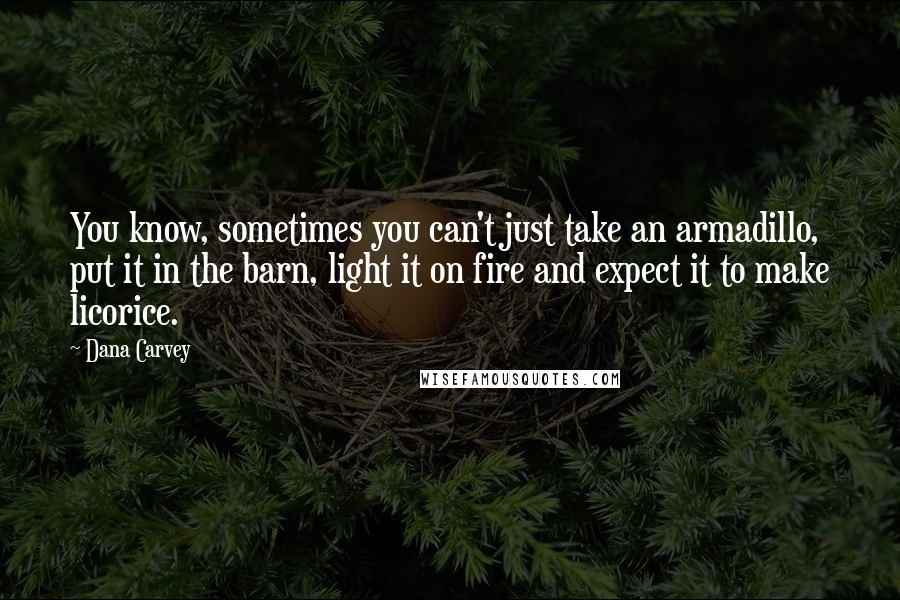 Dana Carvey Quotes: You know, sometimes you can't just take an armadillo, put it in the barn, light it on fire and expect it to make licorice.