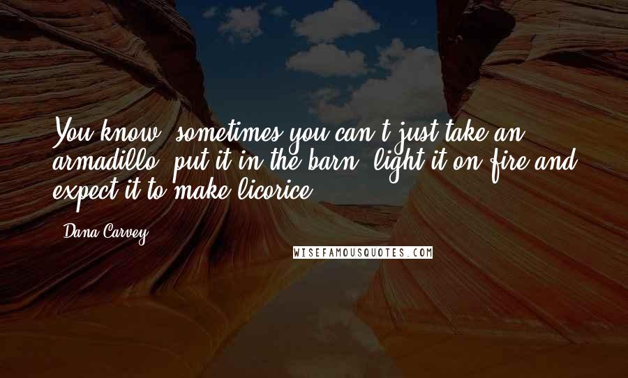 Dana Carvey Quotes: You know, sometimes you can't just take an armadillo, put it in the barn, light it on fire and expect it to make licorice.