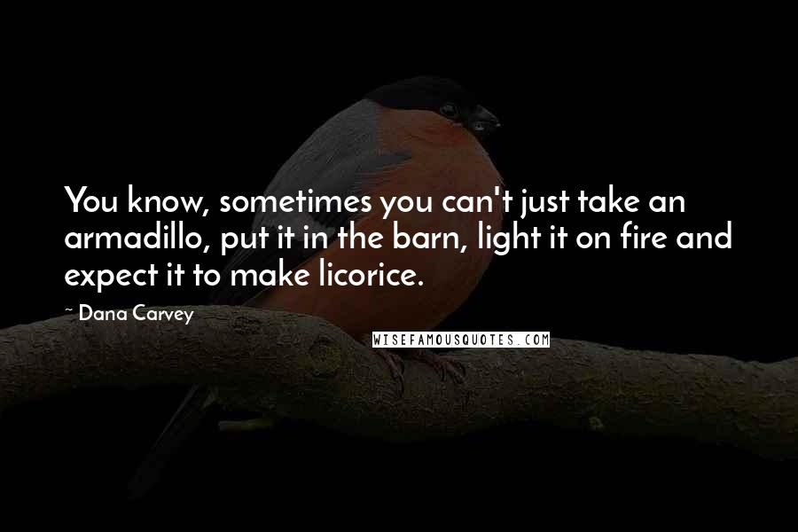 Dana Carvey Quotes: You know, sometimes you can't just take an armadillo, put it in the barn, light it on fire and expect it to make licorice.