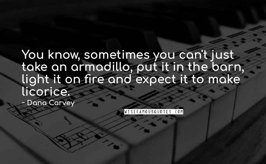 Dana Carvey Quotes: You know, sometimes you can't just take an armadillo, put it in the barn, light it on fire and expect it to make licorice.