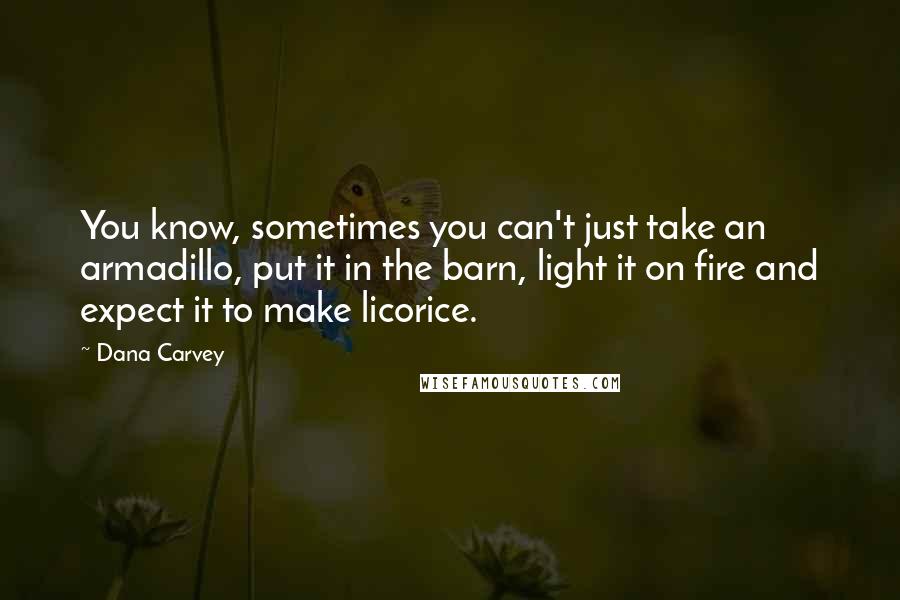 Dana Carvey Quotes: You know, sometimes you can't just take an armadillo, put it in the barn, light it on fire and expect it to make licorice.