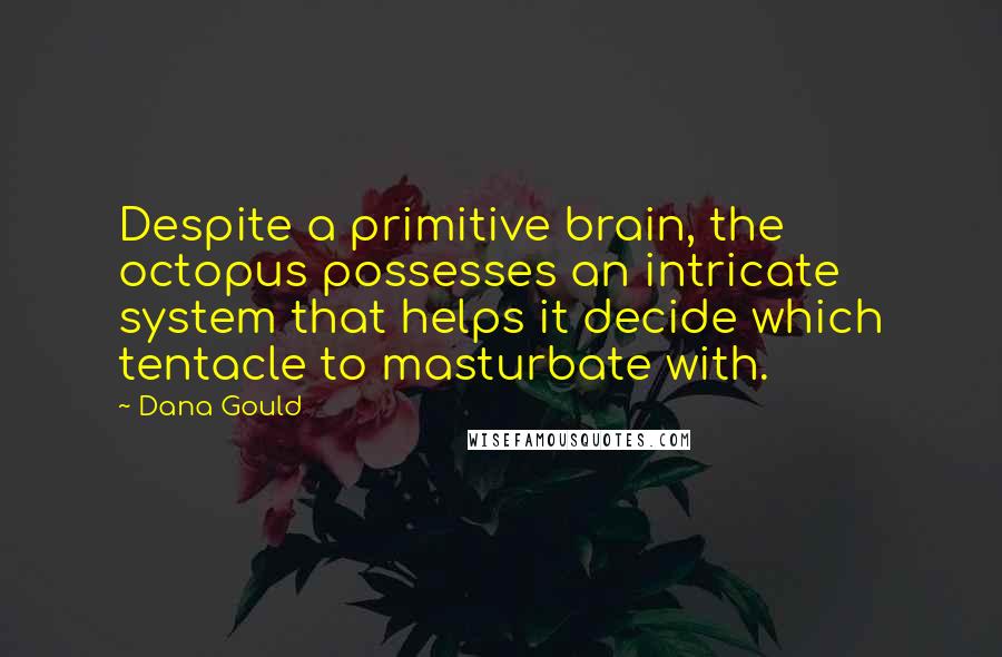 Dana Gould Quotes: Despite a primitive brain, the octopus possesses an intricate system that helps it decide which tentacle to masturbate with.