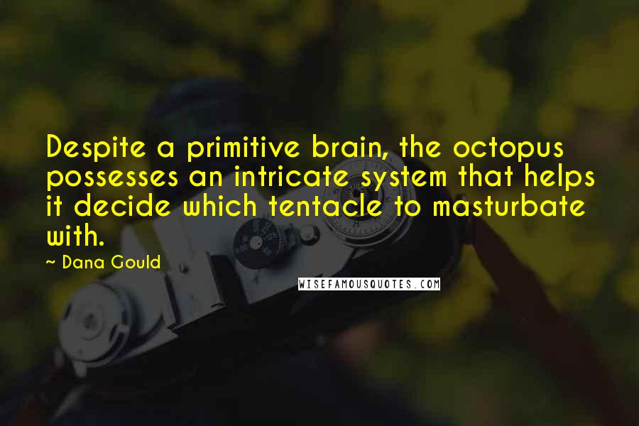 Dana Gould Quotes: Despite a primitive brain, the octopus possesses an intricate system that helps it decide which tentacle to masturbate with.