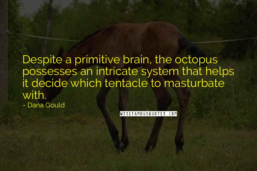 Dana Gould Quotes: Despite a primitive brain, the octopus possesses an intricate system that helps it decide which tentacle to masturbate with.