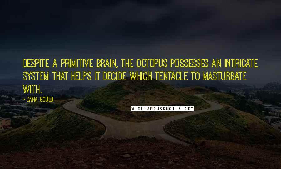 Dana Gould Quotes: Despite a primitive brain, the octopus possesses an intricate system that helps it decide which tentacle to masturbate with.