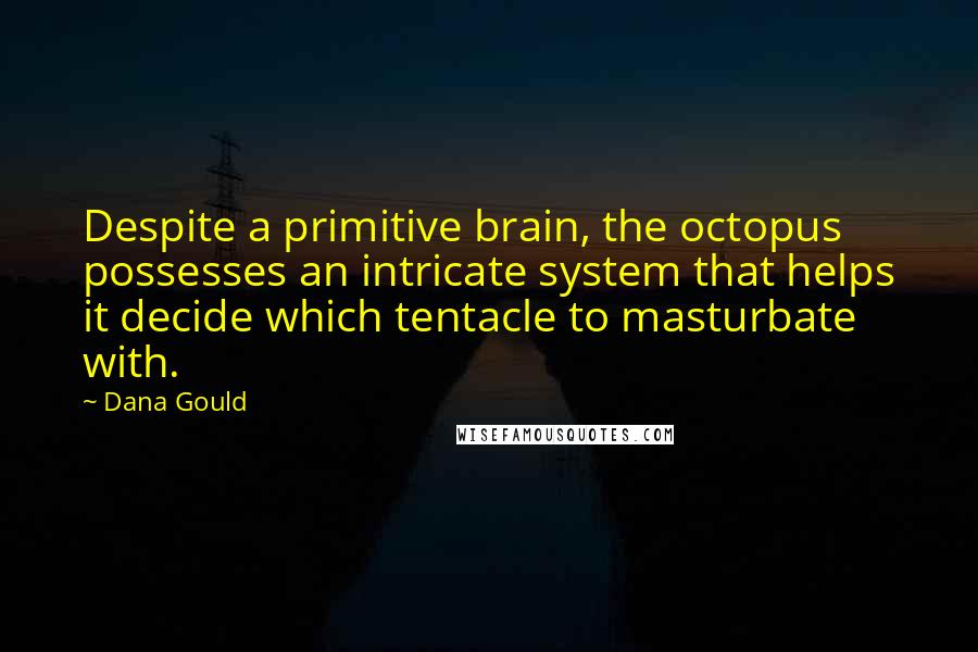 Dana Gould Quotes: Despite a primitive brain, the octopus possesses an intricate system that helps it decide which tentacle to masturbate with.