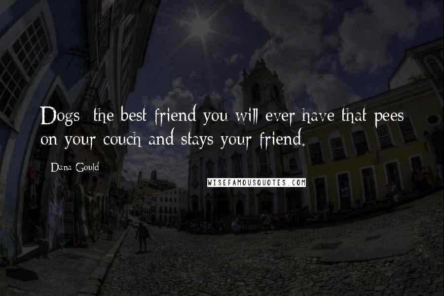 Dana Gould Quotes: Dogs: the best friend you will ever have that pees on your couch and stays your friend.