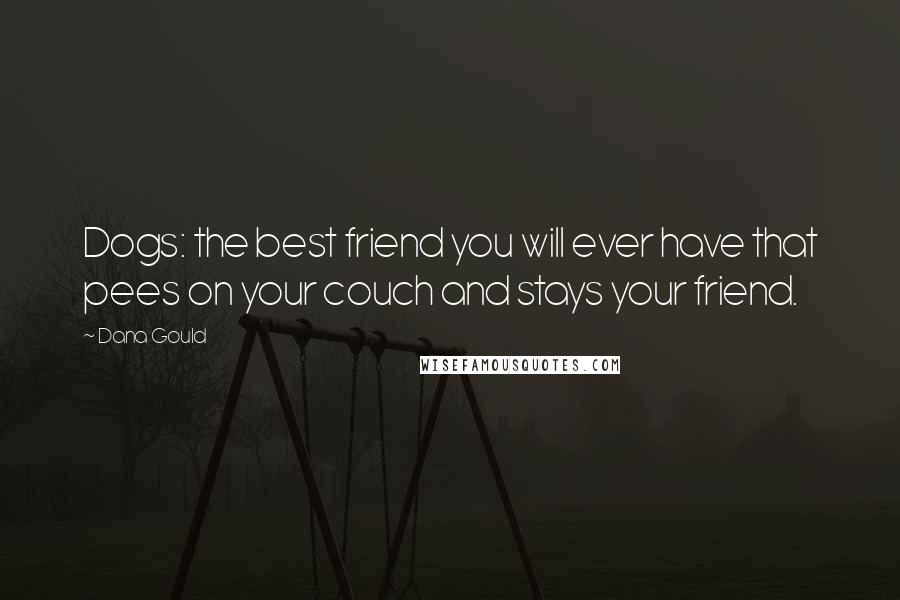 Dana Gould Quotes: Dogs: the best friend you will ever have that pees on your couch and stays your friend.