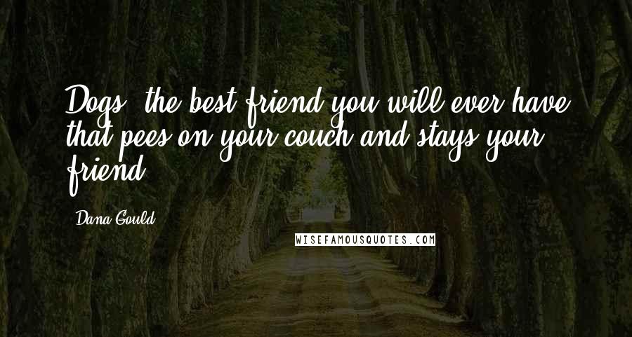 Dana Gould Quotes: Dogs: the best friend you will ever have that pees on your couch and stays your friend.