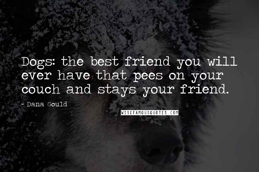 Dana Gould Quotes: Dogs: the best friend you will ever have that pees on your couch and stays your friend.