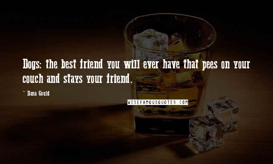 Dana Gould Quotes: Dogs: the best friend you will ever have that pees on your couch and stays your friend.
