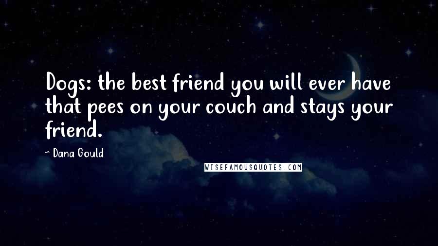 Dana Gould Quotes: Dogs: the best friend you will ever have that pees on your couch and stays your friend.