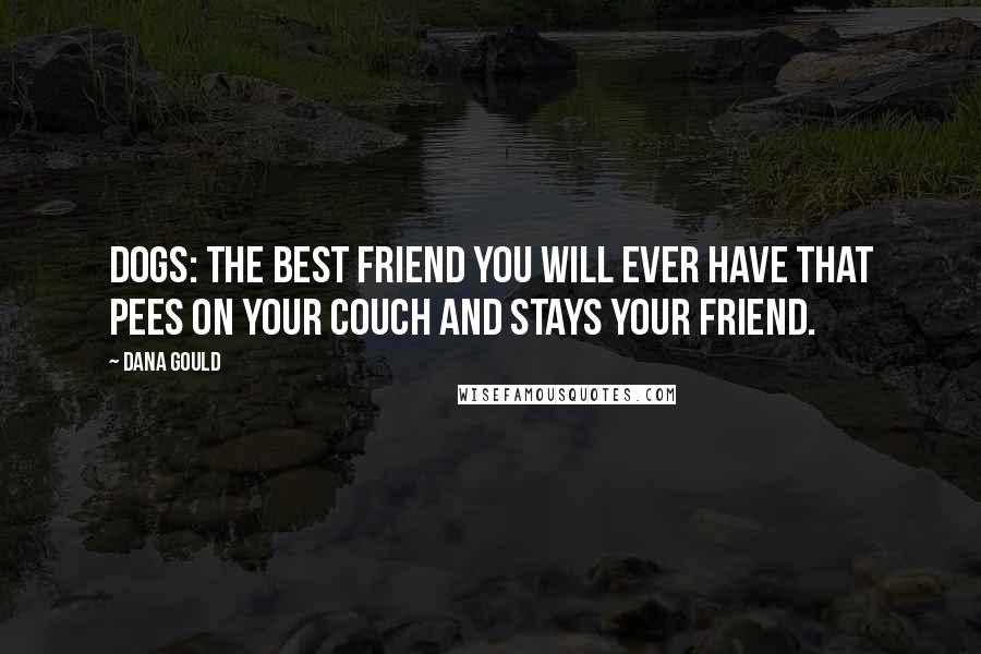 Dana Gould Quotes: Dogs: the best friend you will ever have that pees on your couch and stays your friend.