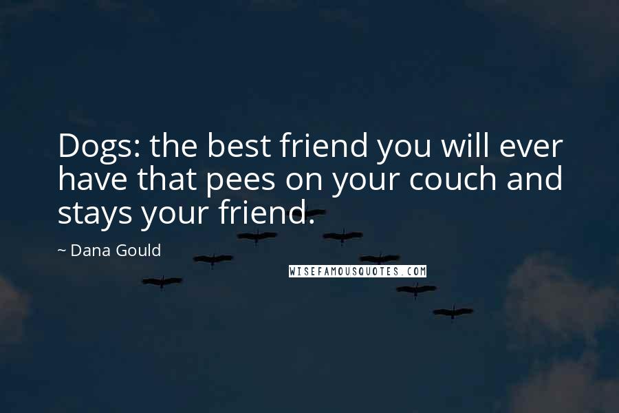 Dana Gould Quotes: Dogs: the best friend you will ever have that pees on your couch and stays your friend.