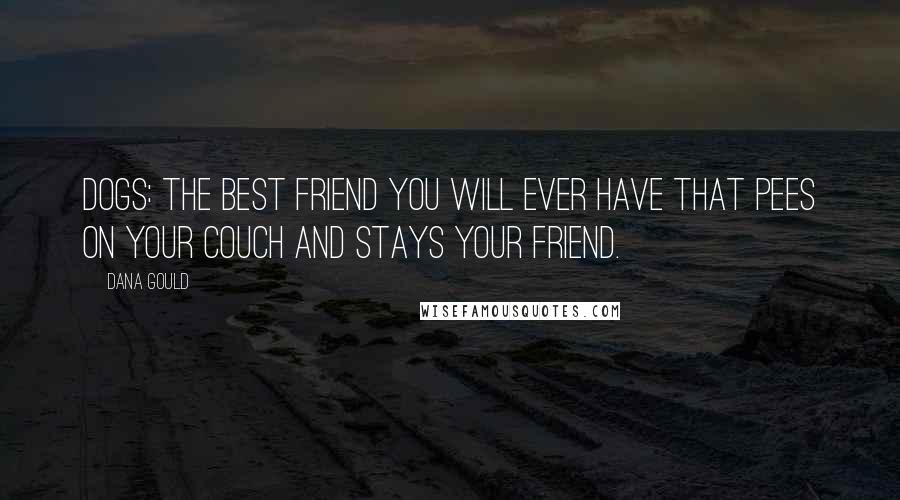 Dana Gould Quotes: Dogs: the best friend you will ever have that pees on your couch and stays your friend.
