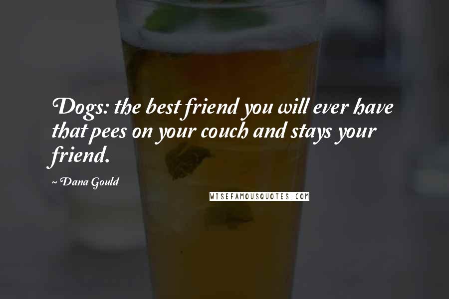 Dana Gould Quotes: Dogs: the best friend you will ever have that pees on your couch and stays your friend.
