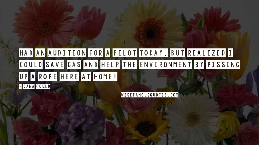 Dana Gould Quotes: Had an audition for a pilot today, but realized I could save gas and help the environment by pissing up a rope here at home!