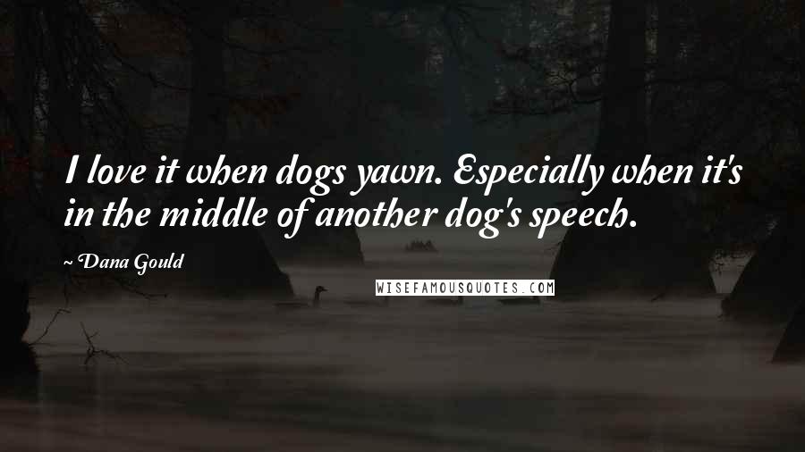 Dana Gould Quotes: I love it when dogs yawn. Especially when it's in the middle of another dog's speech.