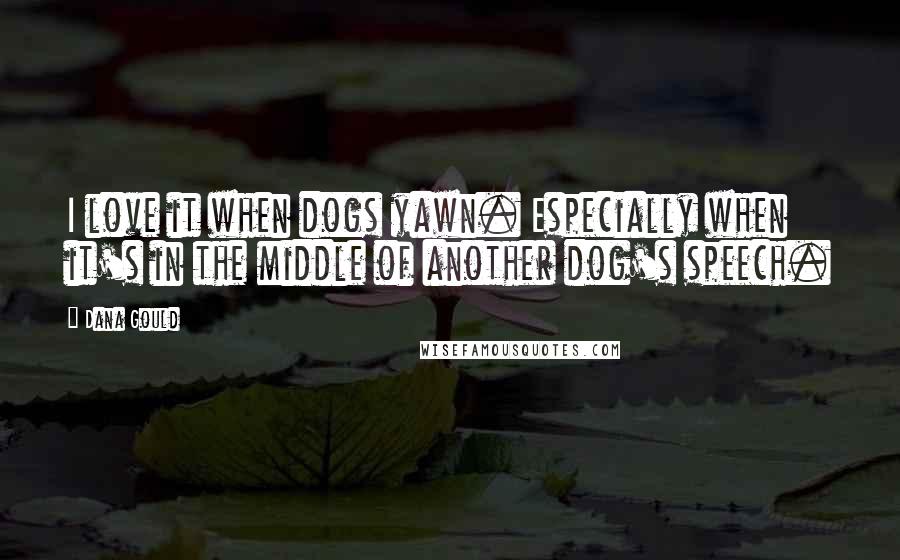 Dana Gould Quotes: I love it when dogs yawn. Especially when it's in the middle of another dog's speech.