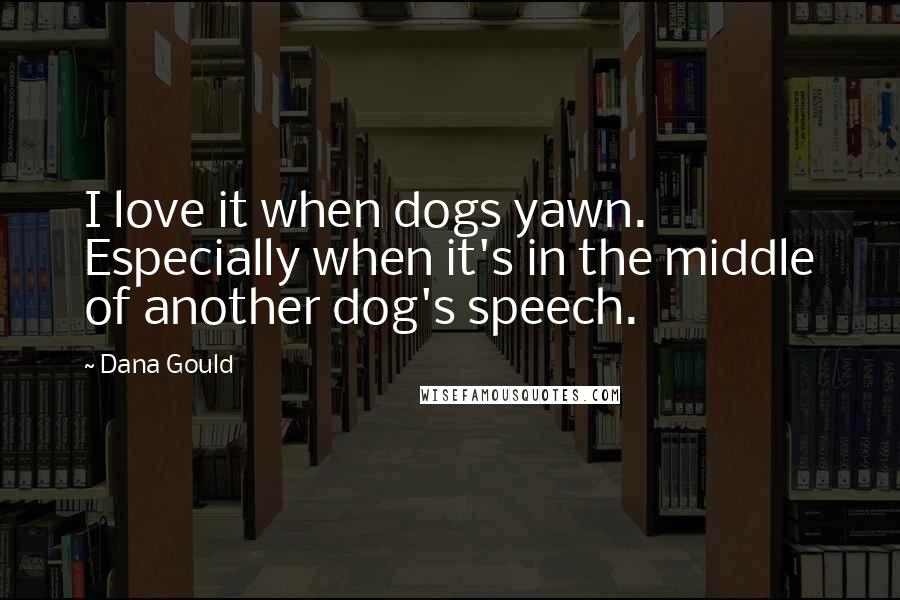 Dana Gould Quotes: I love it when dogs yawn. Especially when it's in the middle of another dog's speech.