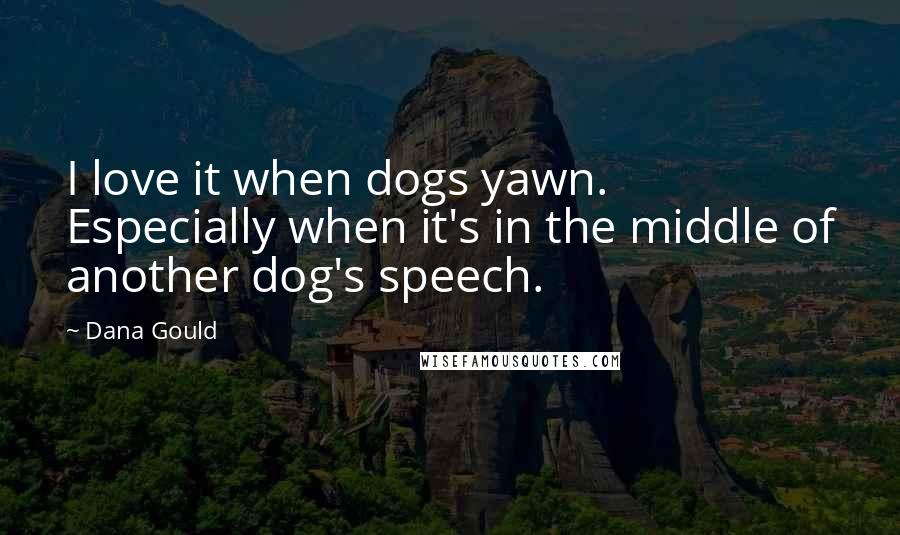 Dana Gould Quotes: I love it when dogs yawn. Especially when it's in the middle of another dog's speech.