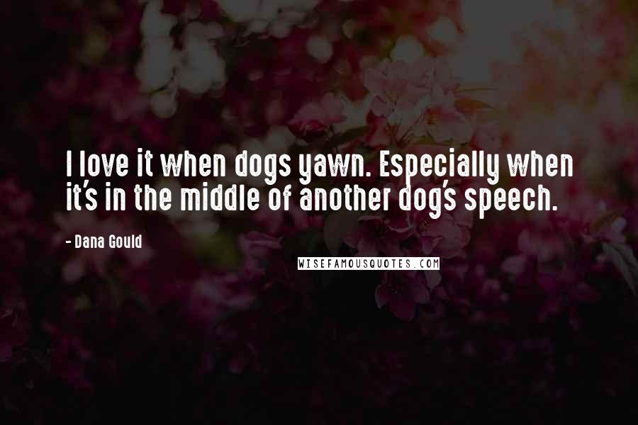 Dana Gould Quotes: I love it when dogs yawn. Especially when it's in the middle of another dog's speech.
