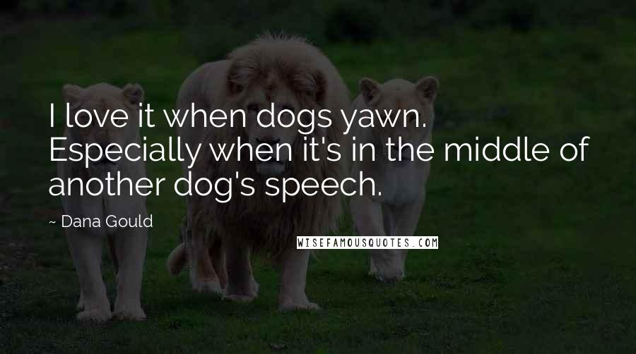 Dana Gould Quotes: I love it when dogs yawn. Especially when it's in the middle of another dog's speech.