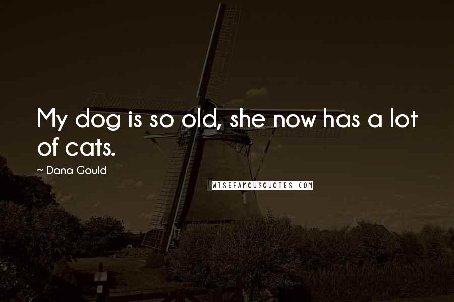 Dana Gould Quotes: My dog is so old, she now has a lot of cats.