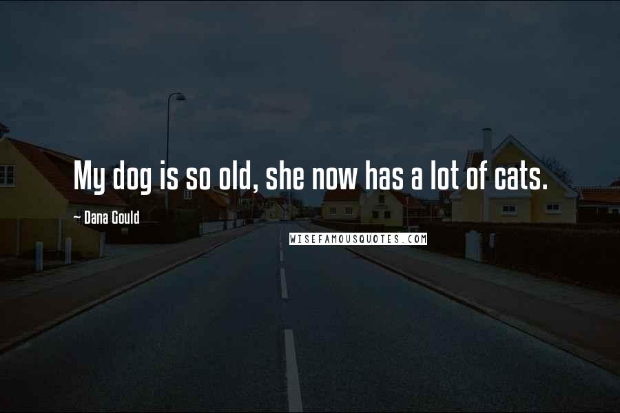 Dana Gould Quotes: My dog is so old, she now has a lot of cats.