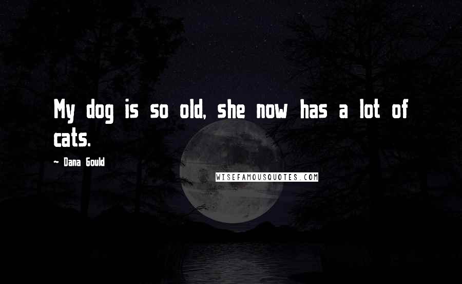 Dana Gould Quotes: My dog is so old, she now has a lot of cats.