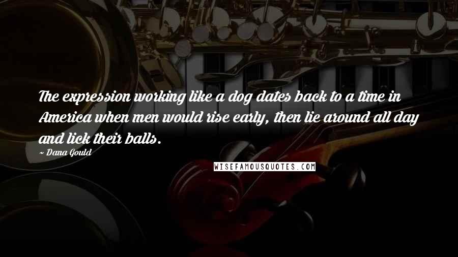 Dana Gould Quotes: The expression working like a dog dates back to a time in America when men would rise early, then lie around all day and lick their balls.