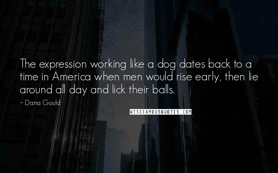 Dana Gould Quotes: The expression working like a dog dates back to a time in America when men would rise early, then lie around all day and lick their balls.