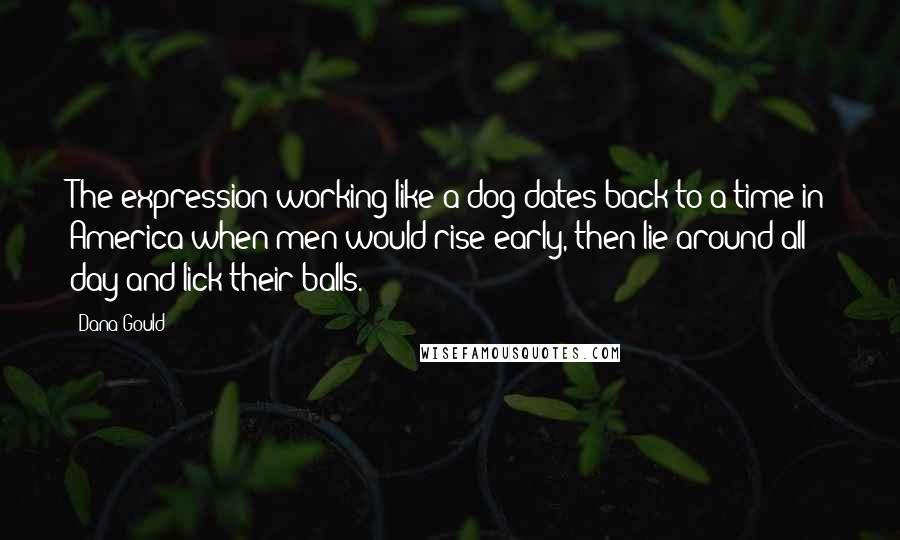 Dana Gould Quotes: The expression working like a dog dates back to a time in America when men would rise early, then lie around all day and lick their balls.