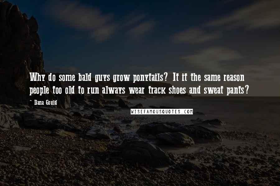 Dana Gould Quotes: Why do some bald guys grow ponytails? It it the same reason people too old to run always wear track shoes and sweat pants?