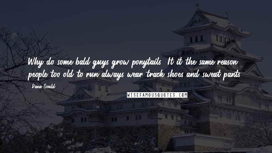 Dana Gould Quotes: Why do some bald guys grow ponytails? It it the same reason people too old to run always wear track shoes and sweat pants?