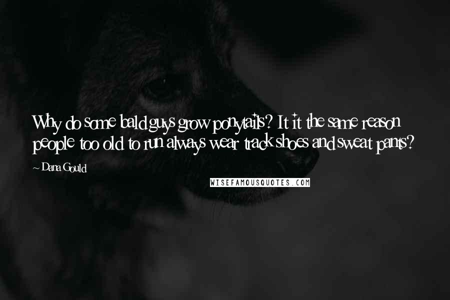 Dana Gould Quotes: Why do some bald guys grow ponytails? It it the same reason people too old to run always wear track shoes and sweat pants?