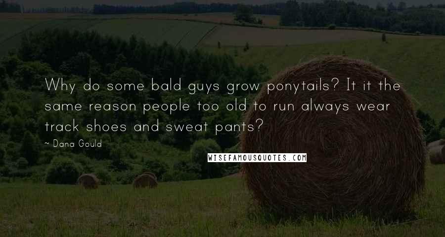 Dana Gould Quotes: Why do some bald guys grow ponytails? It it the same reason people too old to run always wear track shoes and sweat pants?