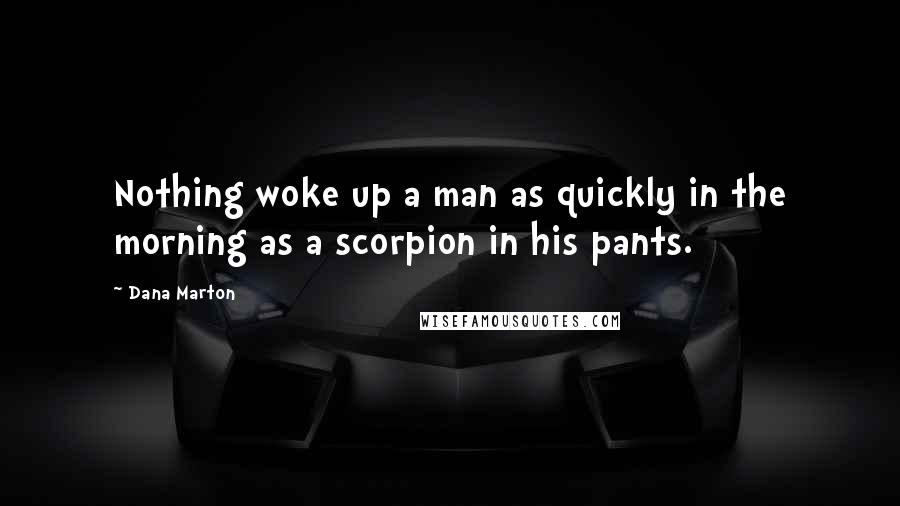 Dana Marton Quotes: Nothing woke up a man as quickly in the morning as a scorpion in his pants.