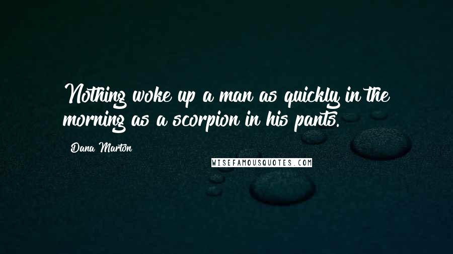 Dana Marton Quotes: Nothing woke up a man as quickly in the morning as a scorpion in his pants.